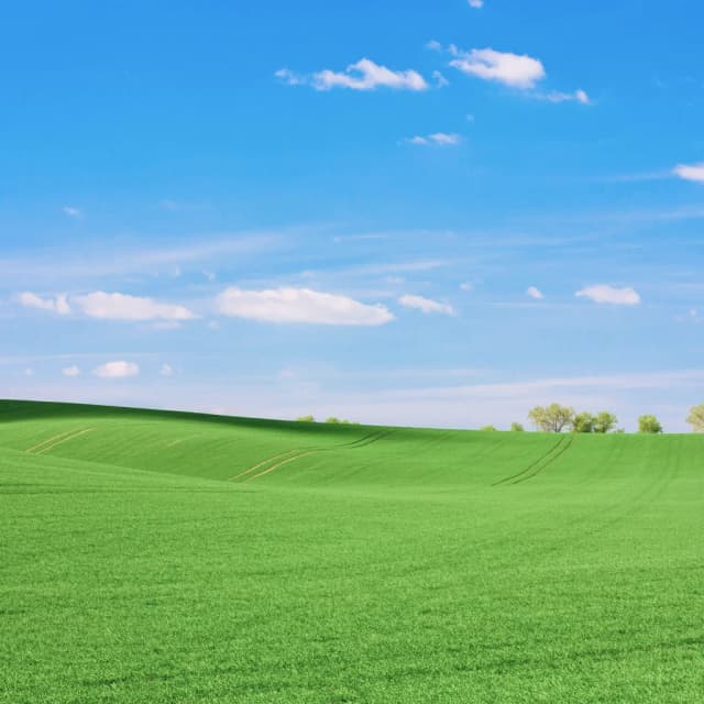 land mamoris categories photo